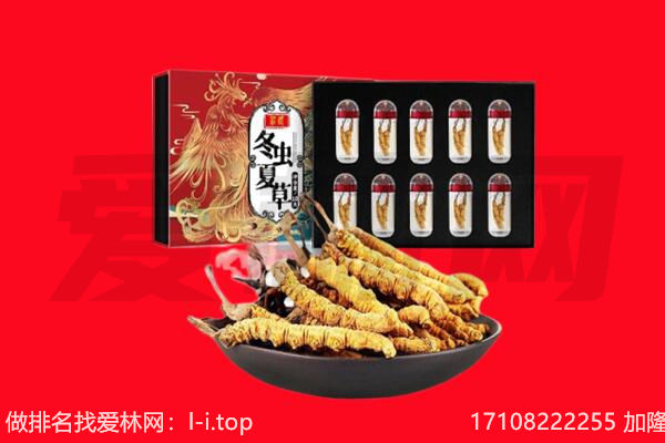 乌拉特前旗回收虫草.jpg