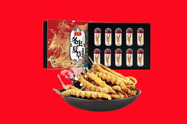 乌拉特前旗回收虫草